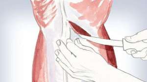 Backstrap 2 700 181003 161650