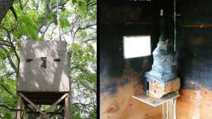 Barton deer hunting blind lead 181003 160532