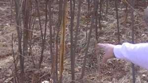 Bausermannextyear700 181003 160128