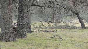 Bausermanspotandstalk1 700 181010 154943