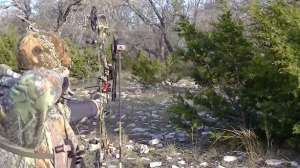 Bausermanspotandstalk2 700 181010 155020