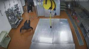 Bear attack in hotel kitchen