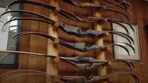 Bear recurve bows on display