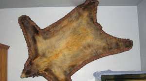 Bearskin700 181003 162120