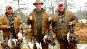 Beaver dam gadwall700 181003 154942