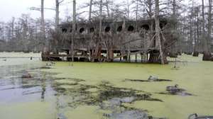 Beaver dam duck hunting november lead 181003 161817