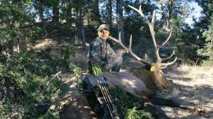 Beefup1 700 181003 155750