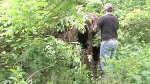 Bhw blind tip lead 181003 155828