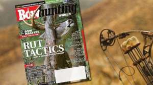 Bhw nov preview lead 181003 161226