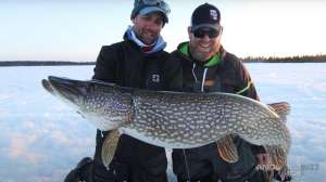 Big Manitoba pike