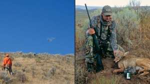 Bird hunting predator august lead 181203 143122