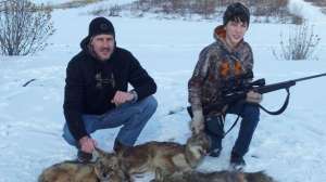 Bittersweet700 181003 160642