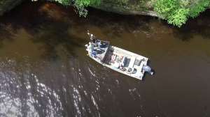 Bowfishing buffalo drone shot