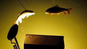 Bowfishing700 181003 161156