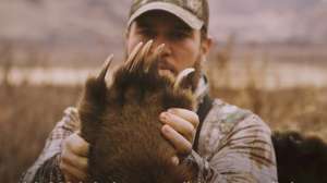 Bowhunting brown bear