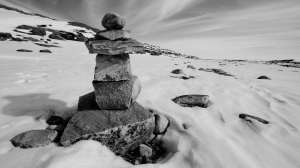 Bowhunting muskox lead