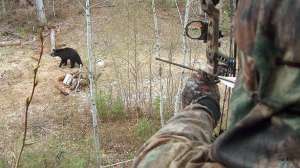 Bowhunting bear stand 181003 155556