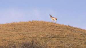 Bw byers quickprolong1 700 181003 155233