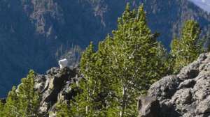 Bw byers stalk1 700 181003 161558