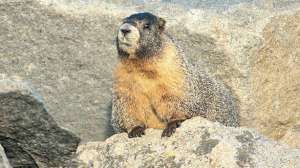 Bw byersspring5 2 700 181003 161216