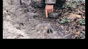 Bw vaznis powerscouting1 700 181003 155048