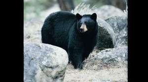 Bw butzvalley part2 700 181003 160039