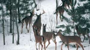 Byerscold700 181004 084506