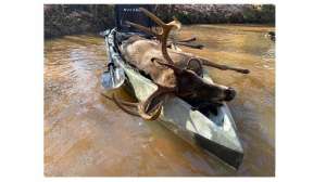 Canoe buck