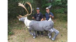 Caribou target 3 D