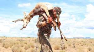 Carrying pronghorn pic