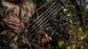 Cashing in on arrows beauty