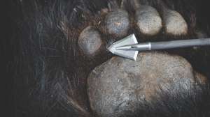 Claynewcomb IRONWILL