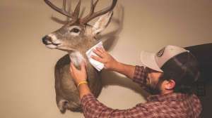 Cleaning shoulder mount