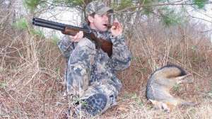 Clearcut predator hunting july lead 181003 161407