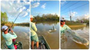 Collage 7 foot gator gar lead