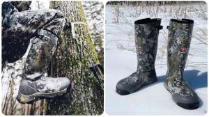 Collage Alpha Evolution lead pic