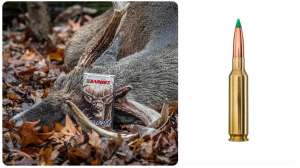 Collage Barnes Harvest ammo