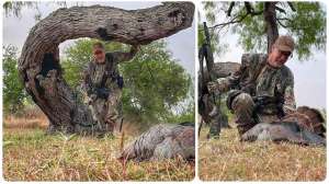 Collage Gordy TX turkey