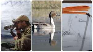 Collage federal duck stamp art