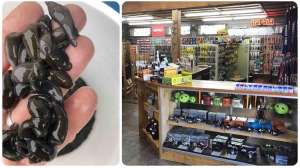 Collage leech bait shop