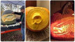 Collage pumpkin carvings