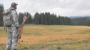 Colorado elk hunting lead 181003 161415