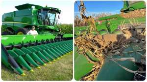 Combine buck collage