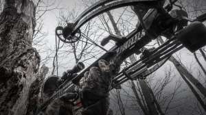 Compound crossbows header 1