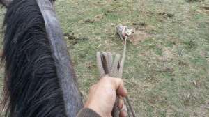 Cowboyyote700 181003 162116