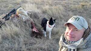 Coyote 1 Hunting near winter wildlife areas near winterkill carcasses copyright Mark Kayser