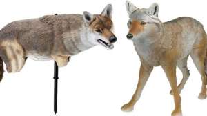 Coyote decoy lead 181003 155115