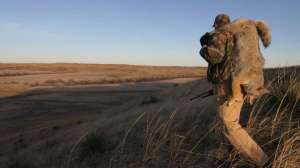 Coyote hunter after successful setup700 181004 084533