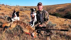 Coyote hunting Sully and Sage help Kayser on a successful coyote hunt copyright Mark Kayser