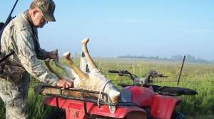 Coyote hunting tactics 181004 084642